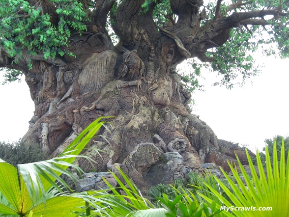 Tree of Life, Disney Animal Kingdom